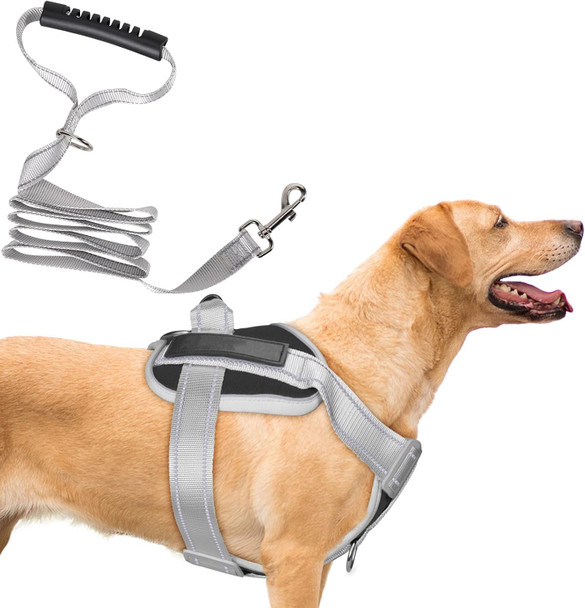 Heavy Duty No-Pull Dog Harness And Leash Set - Reflective Adjustable Training Vest With Handle, Oxford Fabric, Easy Control (Black, Size M)