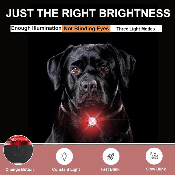 Dog Collar Lights For Nighttime Clip On, 3 Modes Dog Light Rechargeable, 100% Waterproof Light For Dog Collar To See Dogs At Night. Pet Collr Accessories, Namely Safety Lights(Red).