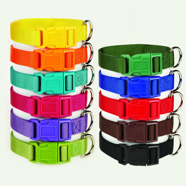 Zack & Zoey ⅝ Wide Nylon Dog Collar, Fits Necks 14 To 20, Orange Zack & Zoey ⅝ Wide Nylon Dog Collar, Fits Necks 14 To 20, Orange