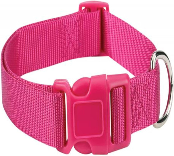 Zack & Zoey 10 To 16-Inch Nylon Dog Neck Collar, Raspberry Sorbet Zack & Zoey 10 To 16-Inch Nylon Dog Neck Collar, Raspberry Sorbet