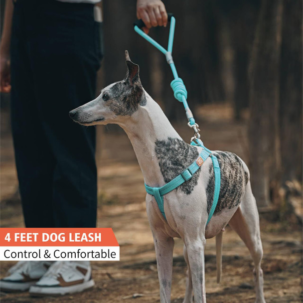 4 Ft Dog Leash With Comfortable Padded Handle Threads For Small Medium And Large Dogs Puppy Laisse Pour Chien Blue M