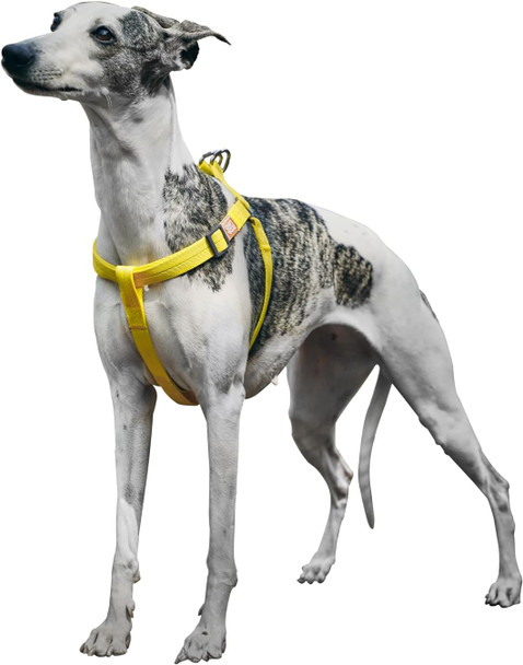No Pull Dog Harness, Easy Walk Puppy Soft Basic Harness For Small Medium Dogs Outdoor Walking Yellow Small