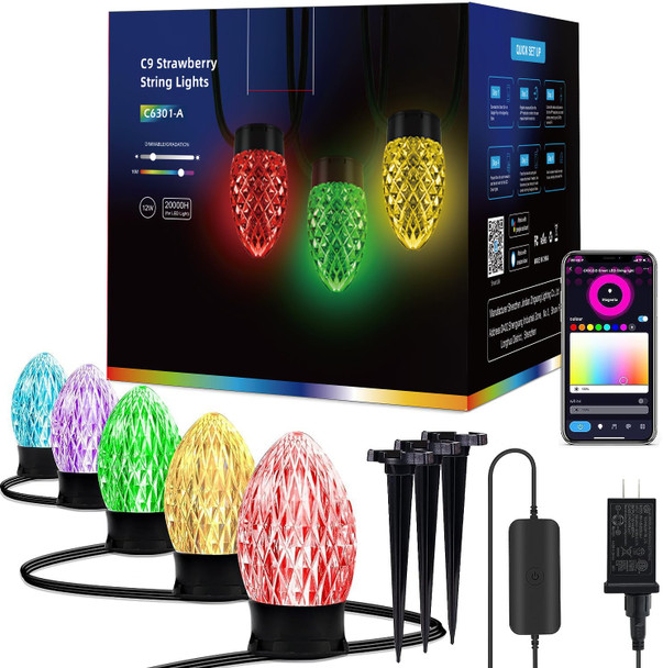 Smart Christmas Lights C9, 17FT 25 LED Outdoor String Lights, Work with Alexa and Google Assistant, Outdoor String Lights for Patio Xmas Tree Roofline Party Indoor