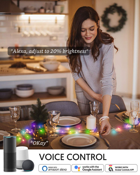 Avatar Controls 32.8ft Smart Christmas Lights Works w/Alexa Google, Color Changing LED Lights with Remote, Music Sync Fairy Lights with 20 Flash Modes, Plug in USB String Lights with Timer