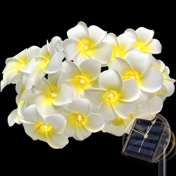 Solar Plumeria Flowers Outdoor Waterproof - 20Ft 20LED Solar Hawaiian Frangipani Flower String Lights, Tropical Flowers Floral Decorative for Garden, Fence, Yard, Patio, Tree Party White