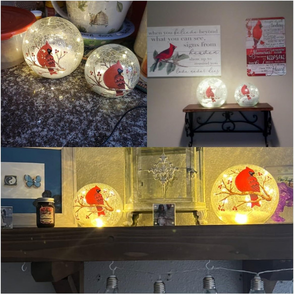 Crackle Glass Cardinal Lamp Battery Operated Globe Lamp for Women Stylish Cardinal Decor Ornaments Red Bird Pattern Stained Glass Lamp Mother's Day s 2 Pack (6in & 5 in) Crackle Glass Cardinal Lamp Battery Operated Globe Lamp for Women Stylish Cardinal Decor Ornaments Red Bird Pattern Stained Glass Lamp Mother's Day s 2 Pack (6in & 5 in)