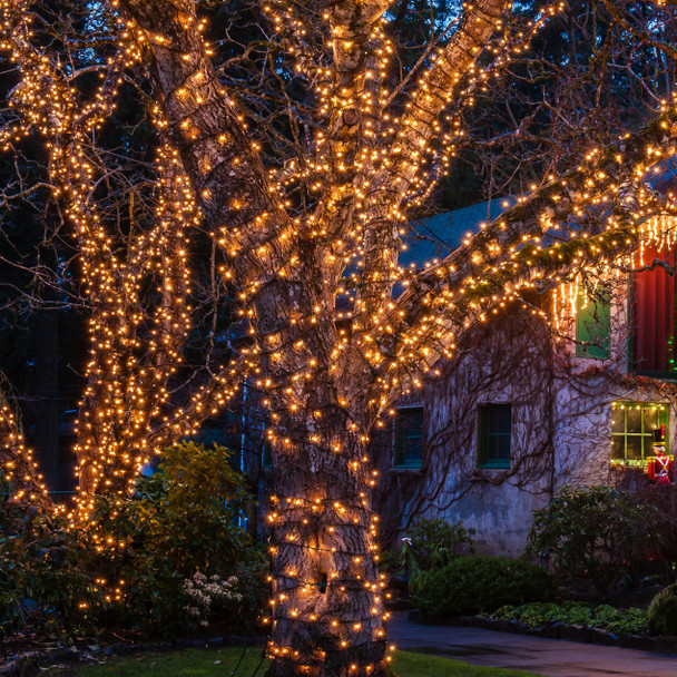 Solar String Lights, 72Ft 200 LED, Waterproof Outdoor, 8 Modes, String Lights for Garden, Yard, Wedding, Party (Warm White)