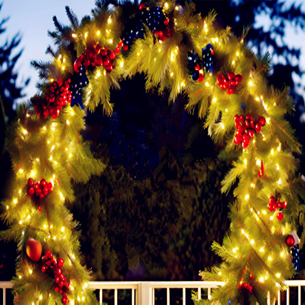 LUCKY SHINE 100 LED Warm White Christmas Lights, Commercial Grade Green Wire String Lights 35 Ft, for Indoor Outdoor House, Garden, Patio.