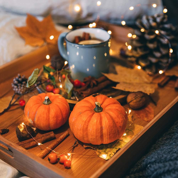 Sterno Home GL40736 50-Count Battery-Powered LED Fairy String Lights, 65.6-Feet, Remote Included, 4 Pack, Copper Wire Lights For Indoor and Outdoor Use Sterno Home GL40736 50-Count Battery-Powered LED Fairy String Lights, 65.6-Feet, Remote Included, 4 Pack, Copper Wire Lights For Indoor and Outdoor Use