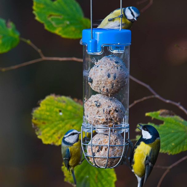 Bird Feeders Hanging Garden Bird Suet Feeder - Jacobi Jayne® Get Set Go™ Hanging Suet Feeder For Wild And Garden Birds - Easy Clean Birdfeeder Perfect For Suet And Fat Ballsgsg-B1B
