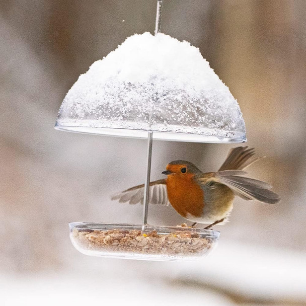 Clear Hanging Bird Feeders For Small Birds - Jacobi Jayne® I Love Robins® Pearl Feeder™ - Attracts Small Garden Birds. Hanging Bird Seed Feeder Perfect For Seed Mixes And Mealwormsilr-Pf-B