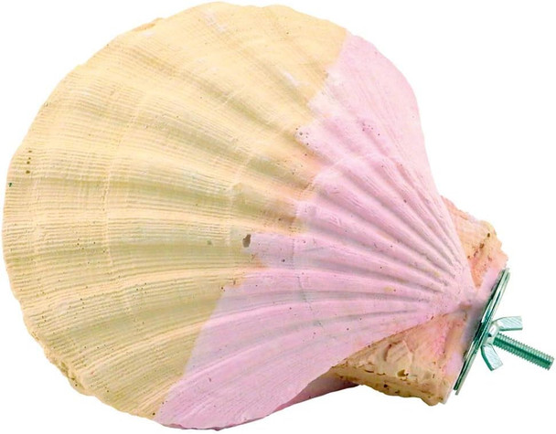 Edible Calcium Clam Parrot Perch Large African Greys Edible Calcium Clam Parrot Perch Large African Greys