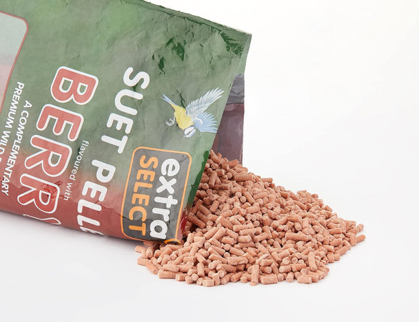 Extra Select Berry High Energy Suet Pellets Wild Bird Food - Protein, Fat Rich Year-Round Feeding - 3 Kg Refill08Wb131 Extra Select Berry High Energy Suet Pellets Wild Bird Food - Protein, Fat Rich Year-Round Feeding - 3 Kg Refill08Wb131
