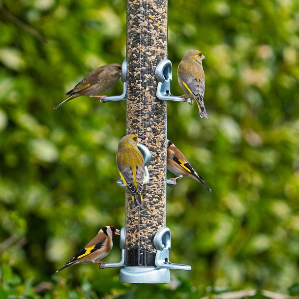 Jacobi Jayne Ring-Pull Click Large Seed Feeder, Zinc Birdrp3-S3Z Jacobi Jayne Ring-Pull Click Large Seed Feeder, Zinc Birdrp3-S3Z