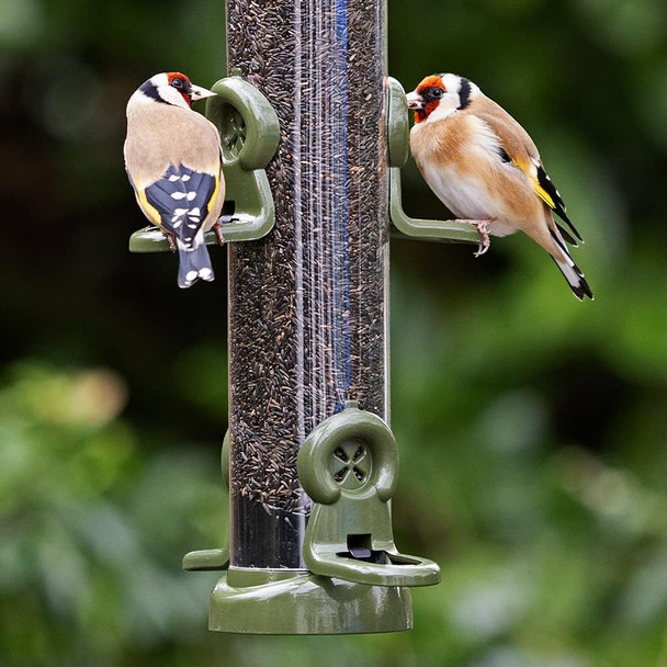 Jacobi Jayne Ring-Pull Click Medium Niger Seed Feeder, Green Birdrp3-N2G Jacobi Jayne Ring-Pull Click Medium Niger Seed Feeder, Green Birdrp3-N2G