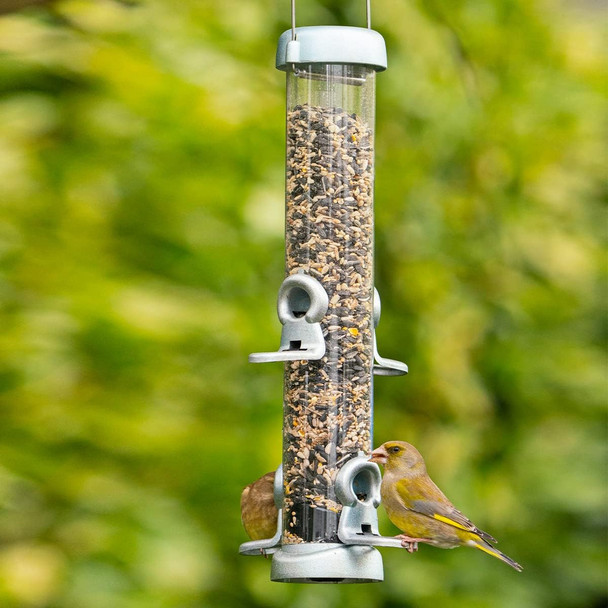 Jacobi Jayne Ring-Pull Click Medium Seed Feeder, Zinc Birdrp3-S2Z