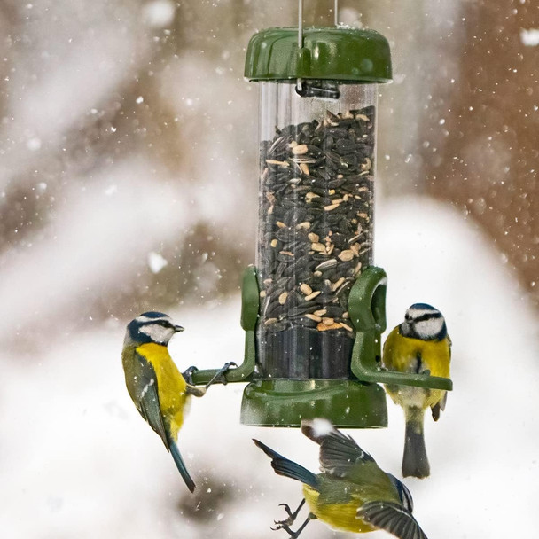 Jacobi Jayne Rp3-S1G Ring-Pull Click Small Seed Feeder, Green Birdrp3-S1G Jacobi Jayne Rp3-S1G Ring-Pull Click Small Seed Feeder, Green Birdrp3-S1G