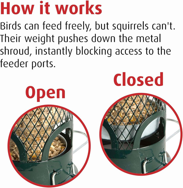 Jacobi Jayne Sb-M Squirrel Proof Bird Feeder - Squirrel Buster Mini - Marauders Off D Squirrel Proof/Metal, Greensb-M Jacobi Jayne Sb-M Squirrel Proof Bird Feeder - Squirrel Buster Mini - Marauders Off D Squirrel Proof/Metal, Greensb-M