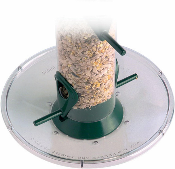 Jacobi Jayne Seed Traya-6-T Jacobi Jayne Seed Traya-6-T