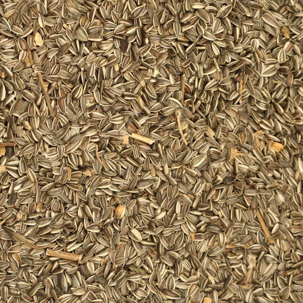 Johnston & Jeff Medium Striped Sunflower Seed 10Kg - Wild Bird Seed