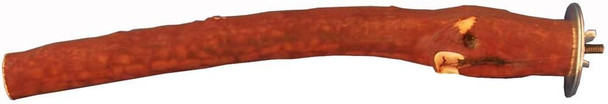 Northern Parrots Manzanita Perch 12"(30Cm) Small Hardwood Parrot Cockatiel Lovebird Quaker Perch