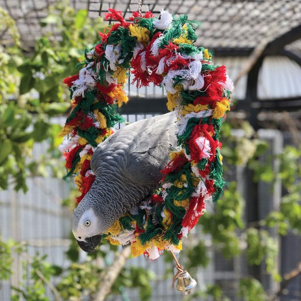 Northern Parrots Rainbow Ring Parrot Swing – Preening Parrot Toy