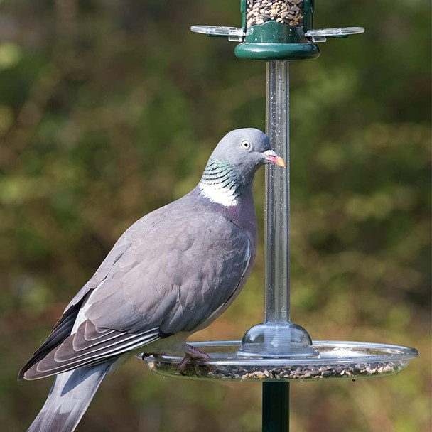 Pigeon Spacerpg-S Pigeon Spacerpg-S