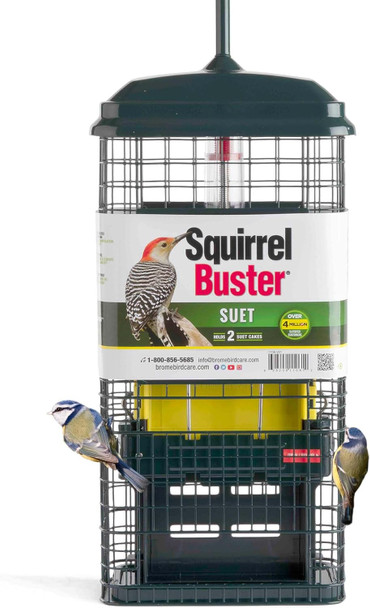 Squirrel-Proof Bird Feeder For Suet Cakes - Jacobi Jayne® Squirrel Buster® Suet – Pigeon Proof Metal Bird Suet Feeder For Wild Birds – Easy Clean Hanging Suet Bird Feeder For Garden Birdssb-S