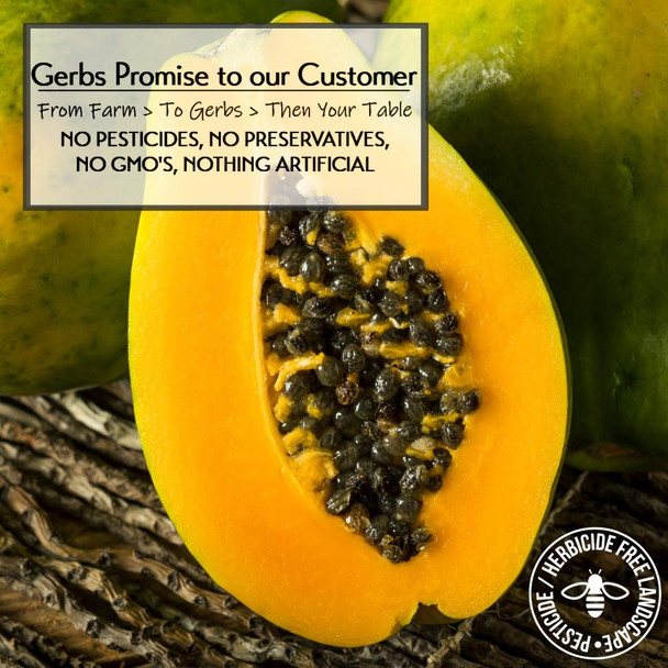 Gerbs Dried Papaya Slices Unsweetened 2 Lbs.  Freshly Dehydrated Resealable Bulk Bag  Top Food Allergy   Sulfur Dioxide  Improve Vision, Boost Energy, Reduce Stress  Gluten & Peanut Gerbs Dried Papaya Slices Unsweetened 2 Lbs.  Freshly Dehydrated Resealable Bulk Bag  Top Food Allergy   Sulfur Dioxide  Improve Vision, Boost Energy, Reduce Stress  Gluten & Peanut