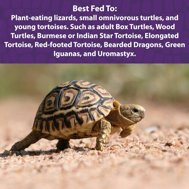 Mazuri Small Tortoise Ls Low-Starch Tortoise Food 8 Ounce (8 Oz) Bag
