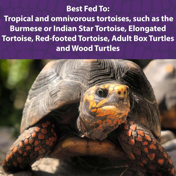 Mazuri Tortoise Diet 1.25 Pound (1.25 Lb) Bag