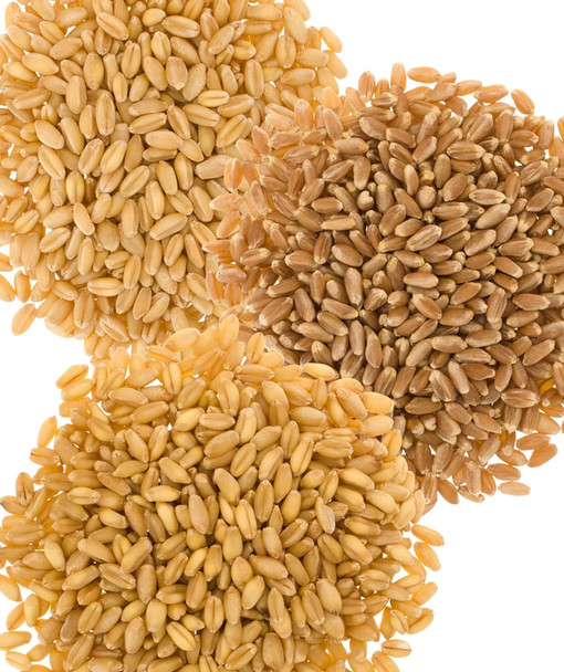Hard White Wheat Soft White Wheat Hard Red Spring Wheat 15 Lbs 100% Desiccant Non-Gmo Project Verified Kosher Parve Usa Grown Field Traced (5 Pound, Pack Of 3