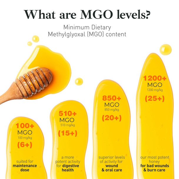 Raw Manuka Honey Mgo 1200+ - Highest-Strength Honey Manuka - Pure Manuka Honey - 250G - 8.8 Oz - Good Natured
