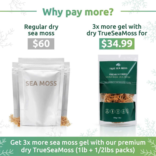 Sea Moss Dried And Capsules Bundle By Trueseamoss Sea Moss Dried And Capsules Bundle By Trueseamoss