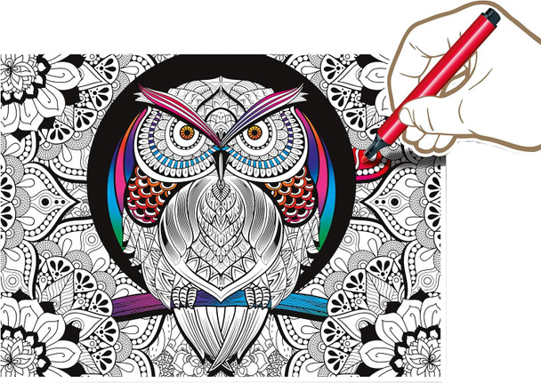 Clementoni - 35050-3D Colour Therapy Puzzle - Owl - 500 Pieces Clementoni - 35050-3D Colour Therapy Puzzle - Owl - 500 Pieces