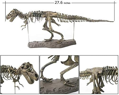 Hercus 3D T-Rex Dinosaur Skeleton Model Puzzles Simulation Educational Toy Pre-School Teaching Soft Non-Toxic PVC Material s
B07Y46Q9TF