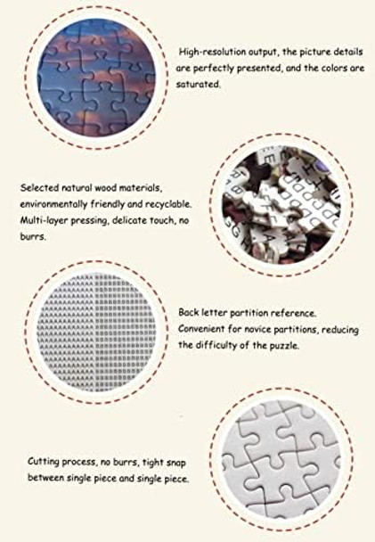 Nnngtaocer Jigsaw Puzzle 500 Piece for Adults Puzzle 3D Wooden Classic Puzzle Cartoon Map of The States of The United StatesCartoon Map Ohio DIY Educational Puzzle Christmas Home Decor 52X38Cm
B082S33FRS