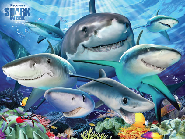 Prime 3D Selfies Howard Robinson Reef Shark 100 Piece 3D Jigsaw Puzzle for Kids Finished Size 12" x 9" Challenging & Fun for Kids & Families Immersive 3D Lenticular Effect
B087Y5XYXJ