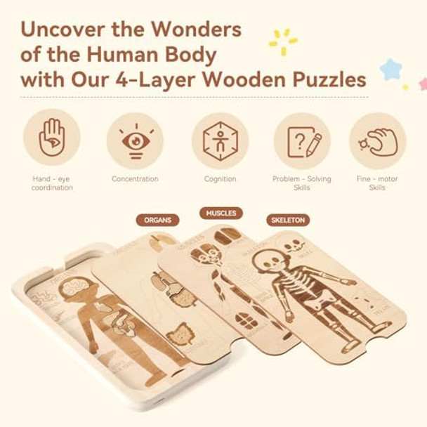 Wooden Teether Wooden Human Body Puzzle Toy18 Pcs Body Anatomy Puzzle Play Set for Toddlers Aged 3+ Includes Organs Muscles and Skeleton Educational Learning Preschool Toys for Boys and Girls
B0F6YL32NP