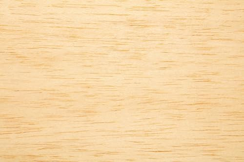 P-40 Warhawk Balsa Wood Historical Ww2 Glider With 14 Inch Wingspan And Slingshot