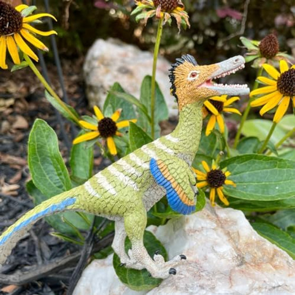 Safari Ltd. Austroraptor Figure - Detailed 9" Dinosaur Model - Educational Toy For Boys Girls And Kids Ages 3+