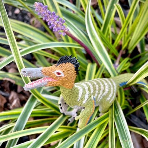 Safari Ltd. Austroraptor Figure - Detailed 9" Dinosaur Model - Educational Toy For Boys Girls And Kids Ages 3+