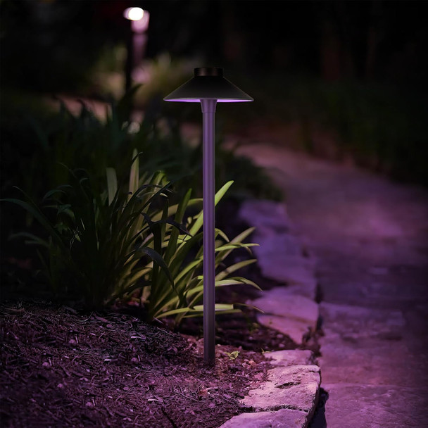 Wac Lighting Led Colorscaping Smart App Controllable Landscape Lighting With Rgbww Color Changing And Tunable White Tiki Path And Area Light In Bronze