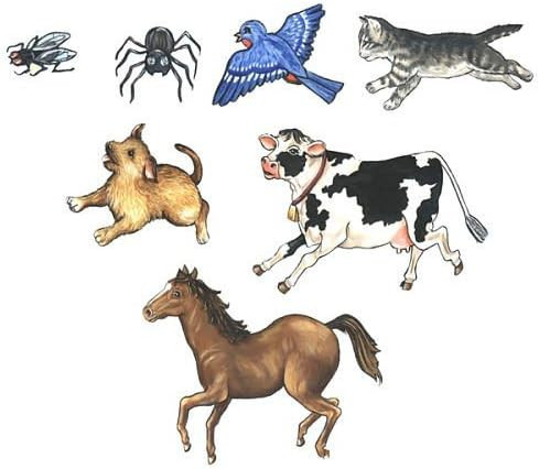 Story Time Felts Old Lady Who Swallowed A Fly Felt Flannel Board Story Set- Precut