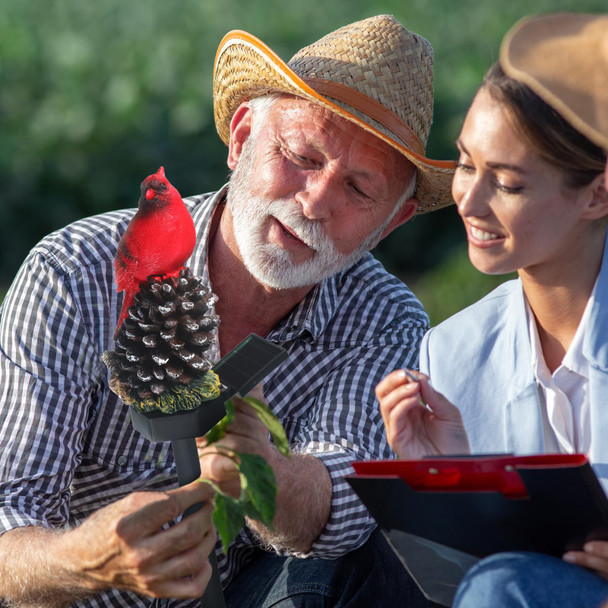 Capoda Christmas Cardinal Solar Lights 2 Pack Red Bird Garden Decorations Outdoor Waterproof Resin Figurine Light Stakes For Yard Pathway Lawn Porch Cemetery Holiday & Xmas Decor(Cardinal)