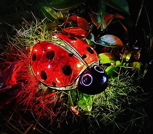 Coolboy Solar Ladybug Outdoor Garden Statuehanging Waterproof Led Solar Lights Outdoor Decormetal Ladybug Ornamentlantern Indoor Figurines For Patio Garden Table Decor For Ourdoor