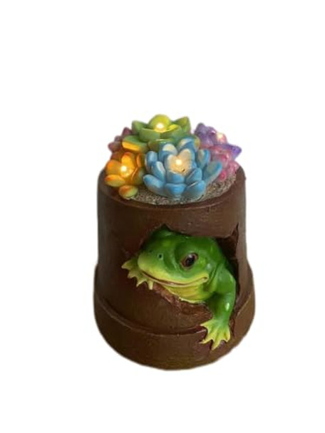 Ieeseemore Solar Garden Outdoor Decor Statue Frog With Succulent Fairy Figurine Patio Accessories Frog Statue Garden Ornament Decoration For Patio Balcony Yard Unique S For Women