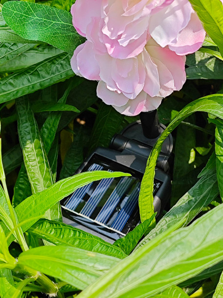 Solarera Solar Lights Outdoor Waterproof 2 Pack Solar Flowers 7 Colors Changing Solar Delphinium Lights For Yard Garden Decoration Enlarged Solar Panel Memorial Day Decorations (Pink)