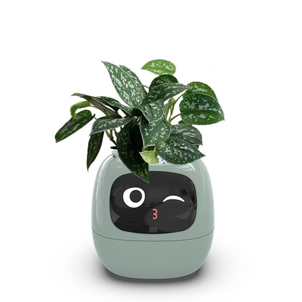 Itigoitie  Smart Flowerpots Smart Pet Planter Ai Planter Intelligent Flowerpots,Multiple Expressions 7 Smart Sensors and Ai Chips Make Raising Plants Easy and Fun for Living Room,Plant-Free Green