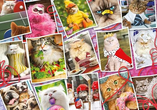Ceaco - Avanti - Cranky Kitties Collage - 500 Piece Jigsaw Puzzle For Adults - Challenging Puzzle Perfect For Game Nights - Finished Size Is 25 X 19
